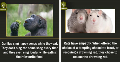 Twitter Account Named "Fact Point" Will Blow Your Mind With Intriguing and Surprising Truths About Anything Under the Sun