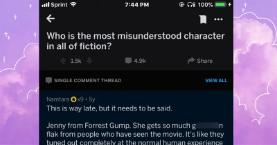 Guy Destroys What We All Thought About Jenny From Forrest Gump