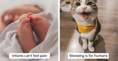 40 Interesting Facts That Are So Absurd You Might Say They Aren't True But They Are