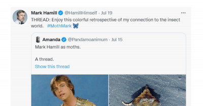 Someone Paralleled Crazy but Funny Comparisons of Mark Hamill's Looks Using Moths