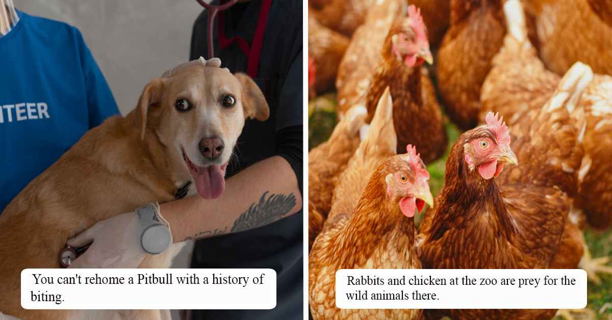 35 Employee Confessions That Center On Companies' Hidden Secrets And Other Things That Will Surely Shock Us Ordinary People