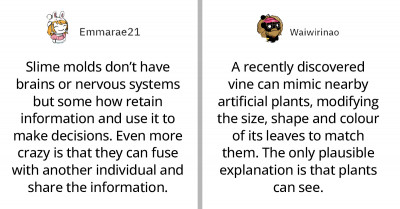 35 Mind-Blowing Science Facts About Our World