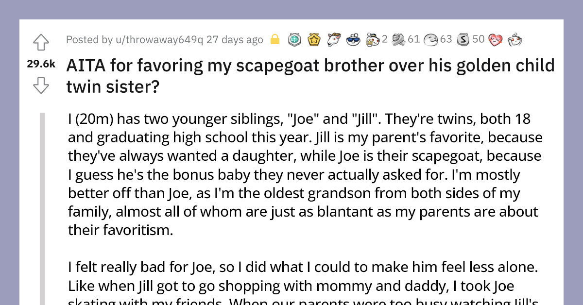 Spoiled Sister Calls Out Reddit User For Favoring His Brother Who Is The Constant "Family Scapegoat"