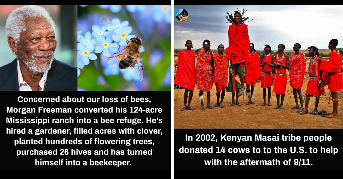 50 Times People Did A Mind-Blowing And Incredible Act Of Selflessness That Will Amaze You