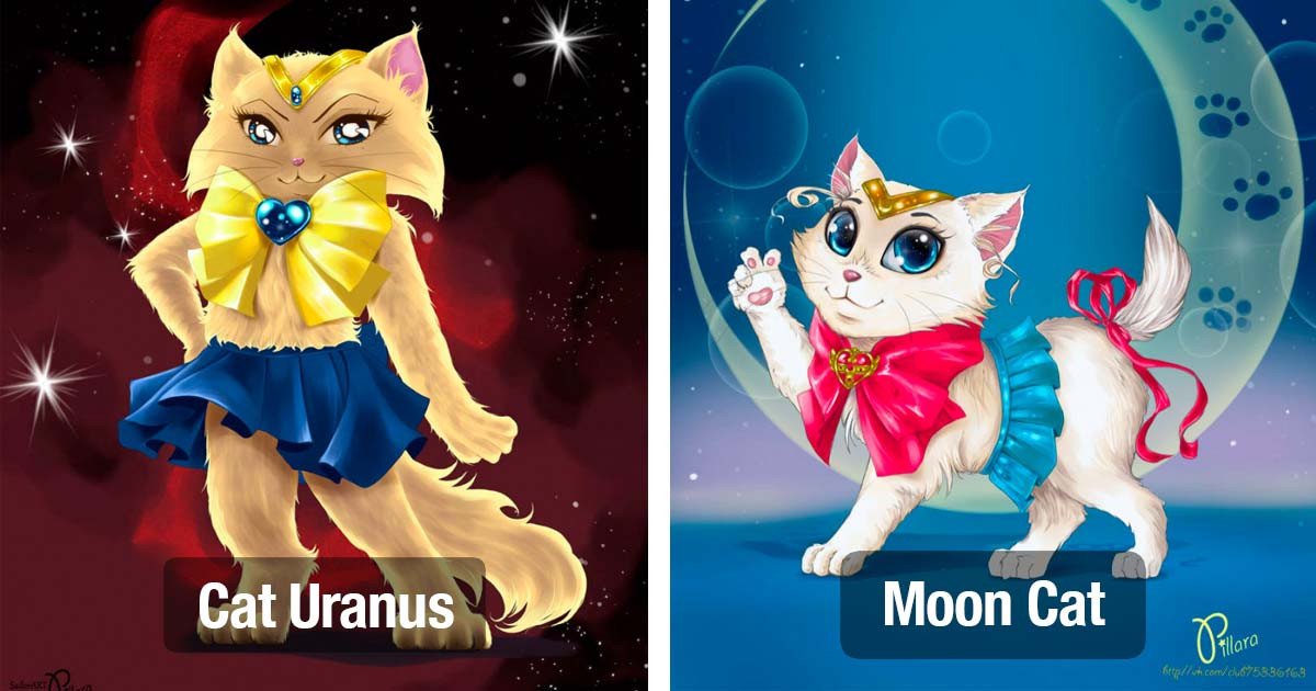 Moscow-Based Artist Creates Adorable Sailor Cat Illustrations