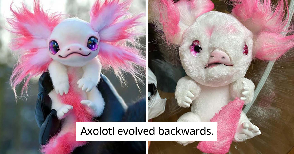 50 Online Shopping Fails That Infuriated These Customers