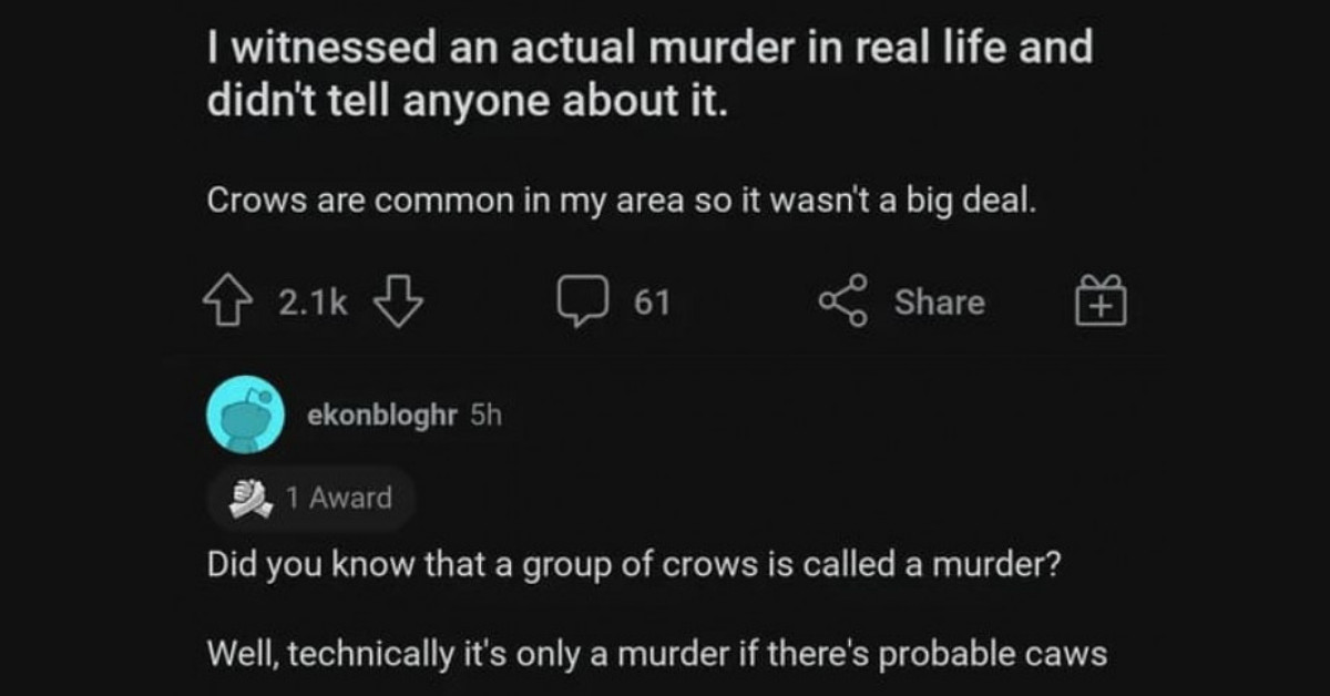 25 Hilarious Pictures That Prove the Fun Lies in the Comments Section of a Post