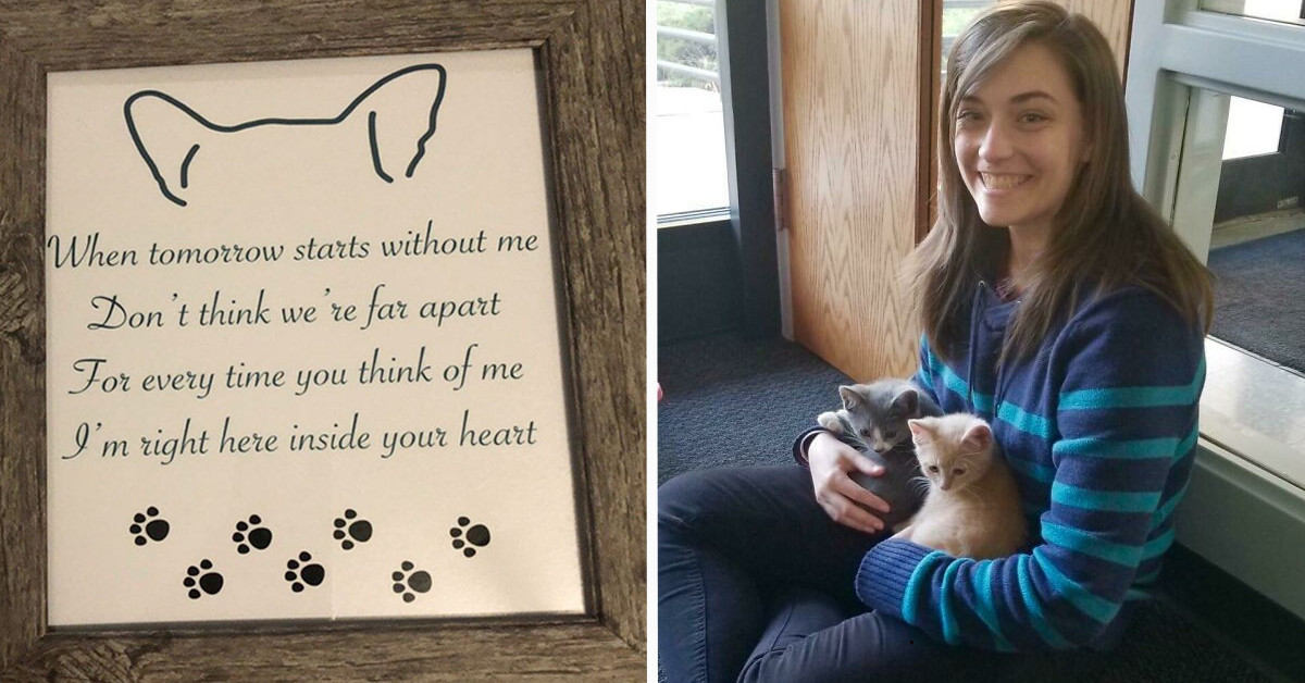 50 Pictures Shared By People Who Had Extremely Wholesome Colleagues Act In A Way That Will Make You Smile