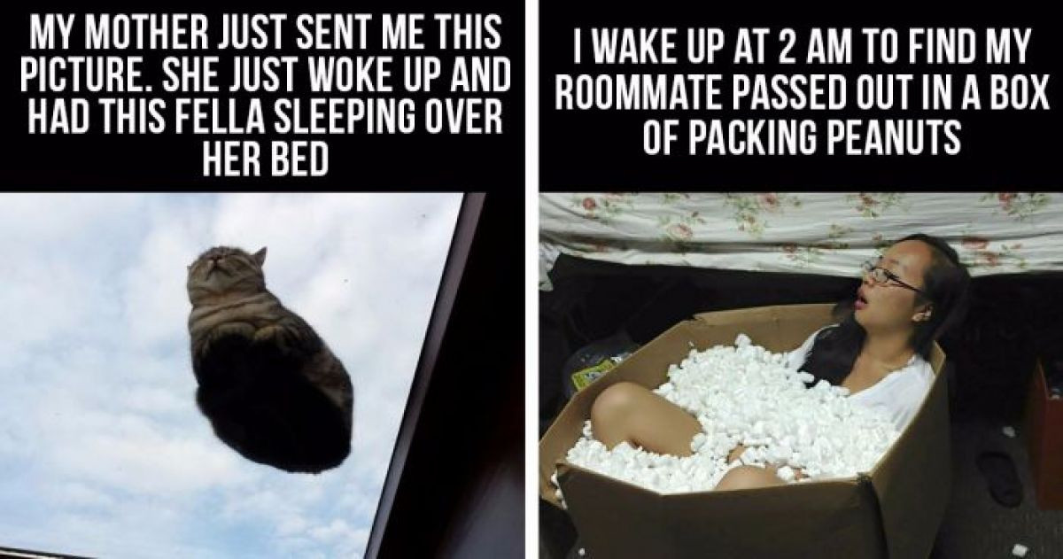10+ Extremely Unusual and Bizarre Things People Woke Up To