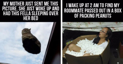 10+ Extremely Unusual and Bizarre Things People Woke Up To