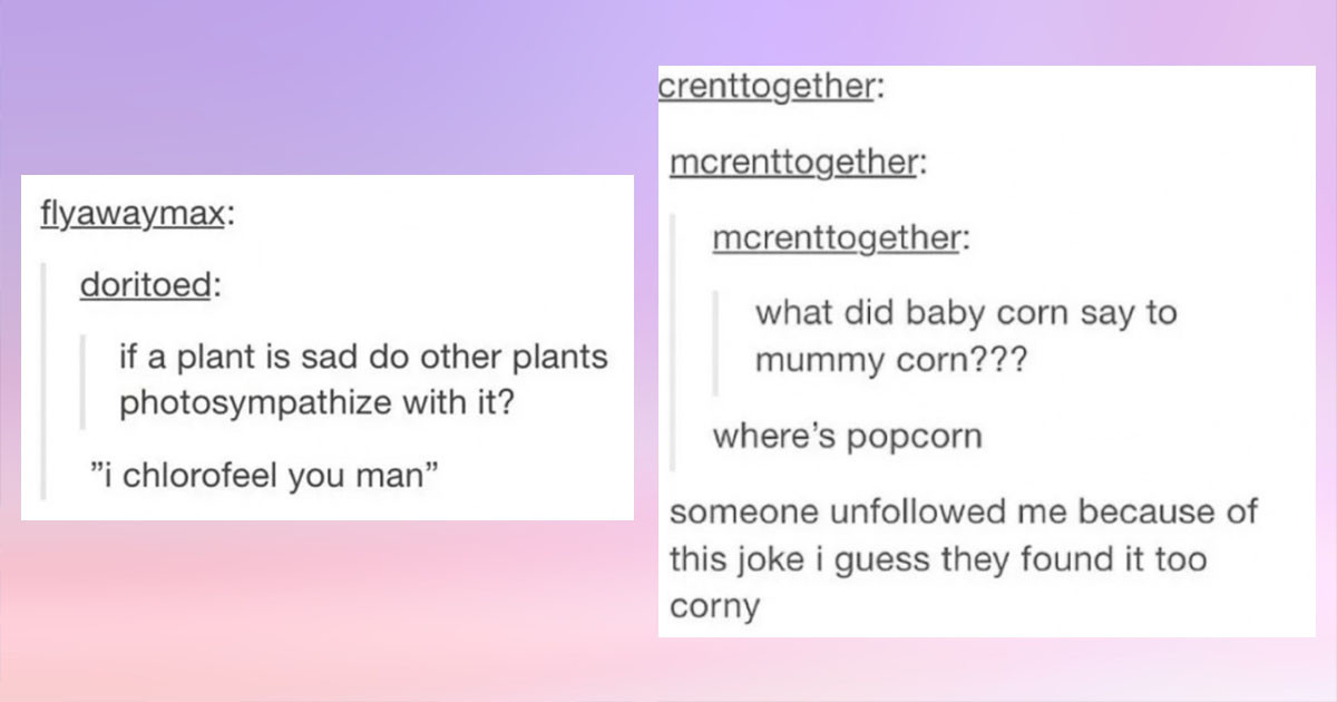 Jokes That Are So Far Up In The Dad-Jokes Scale That They Are Safe For Work