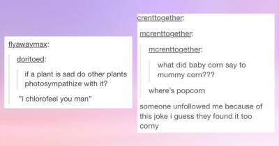 Jokes That Are So Far Up In The Dad-Jokes Scale That They Are Safe For Work