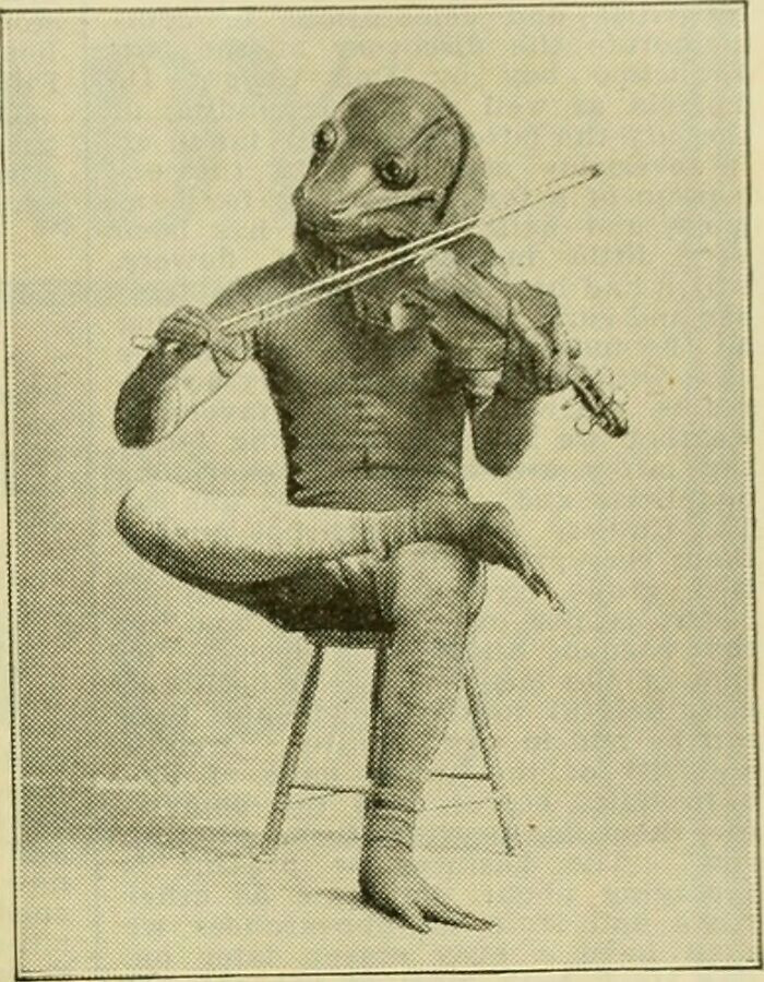 38. "Found This Weird Photo Online. The Title Said That It's From "Page 896 Of The American Florist, A Weekly Journal For The Trade (1885)". Please Make Special Note Of His Feet"