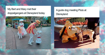 23 Times Disney Staff Were as Awesome as You'd Hope Them To Be