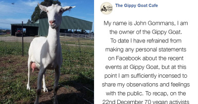 Vegan Activist Group Break Into Farm, Owner Calls Them Out Big Time