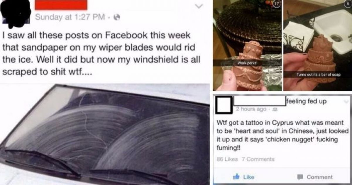 These Pictures Prove That Humans Can Be Smart, But Not All the Time