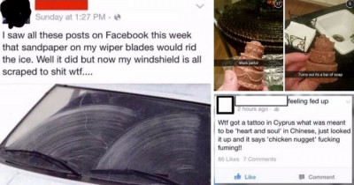 These Pictures Prove That Humans Can Be Smart, But Not All the Time