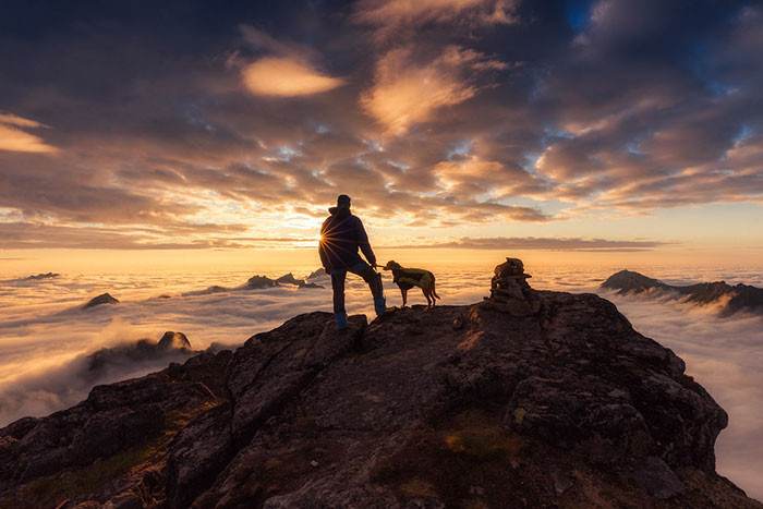 Christina Roemmelt, Austria, 3rd place winner of Rescue Dogs Charity category.