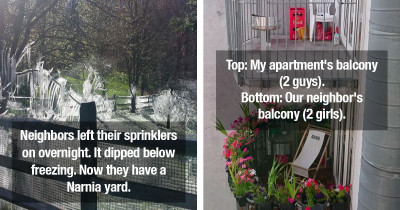 50 Times Neighbors Made The Neighborhood More Interesting With Their Antics