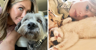 25 Celebrities Who Adopt And Rescue Pets Instead Of Buying Them