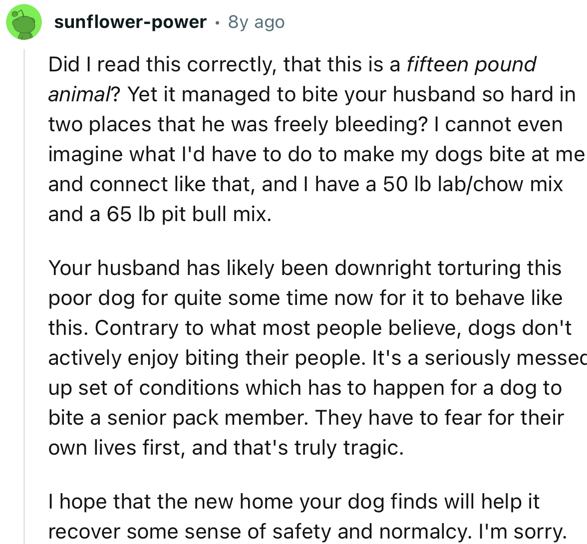 “Your husband has likely been downright torturing this poor dog for quite some time now for it to behave like this.”