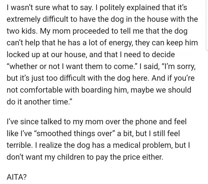 OP's Parents Brought Up the Idea of Visiting with the Dog Instead, but It Wasn't an Idea That OP Was Willing to Entertain.