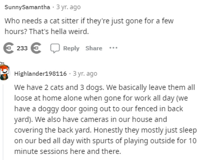 Some people were discussing the fact that they even asked someone to come over for a few hours just for a cat.