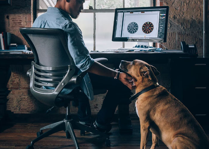 The dog gives it away.