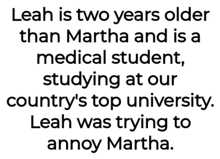 OP's Niece Then Decides to Be an AH by Annoying His Daughter