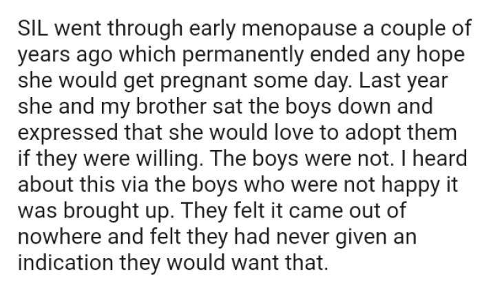 The sister-in-law expressed that she would love to adopt them if they were willing