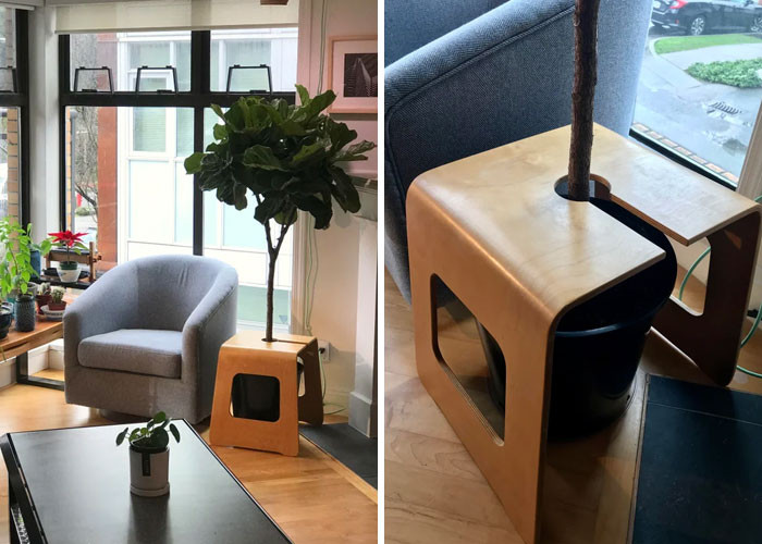 3. A handy tree table created by cutting a keyhole shape into an end table