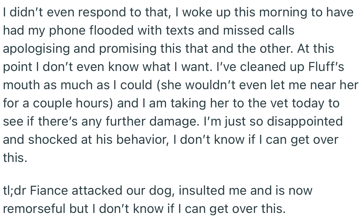 The next morning, OP woke up to apology texts from her fiancé. But she was more focused on getting her dog some medical attention
