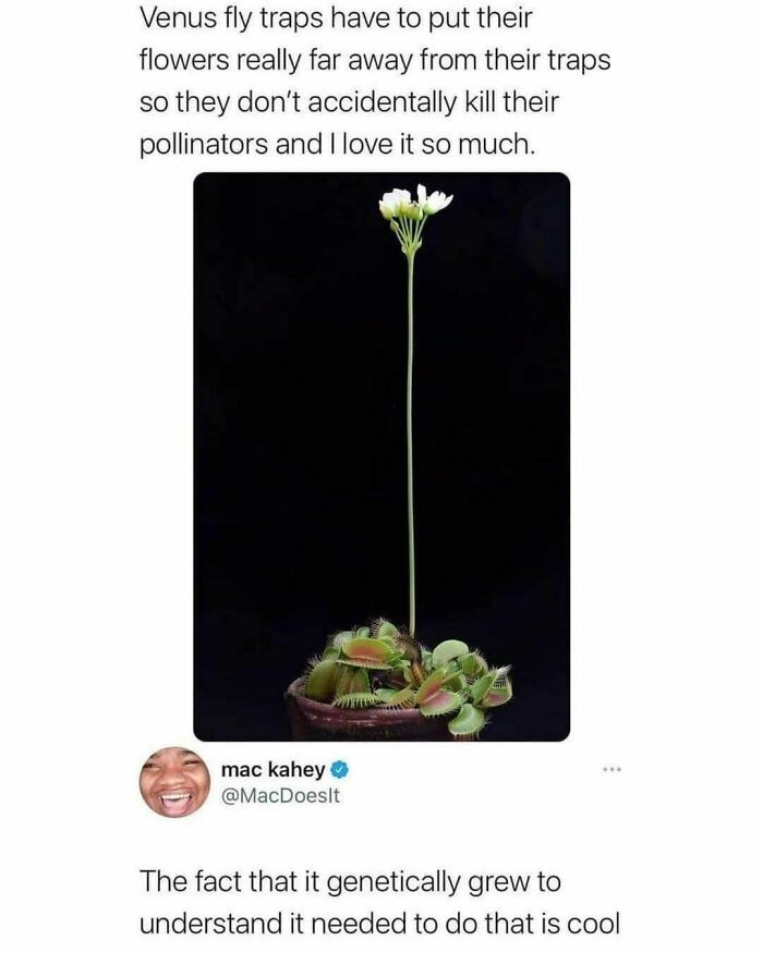 6. It genetically grew to understand that