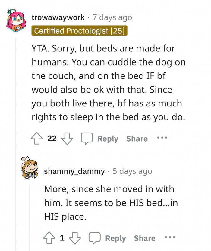 There's this thing called 'dog bed' made specifically for dogs.