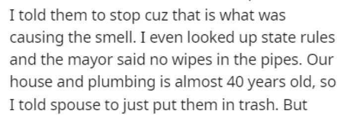 OP told their spouse to stop using the flushable wipes since that was causing the problem