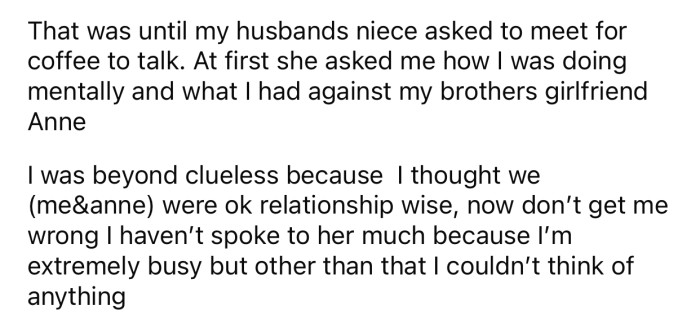 OP couldn't figure out what the niece meant since she doesn't interact much with her SIL.