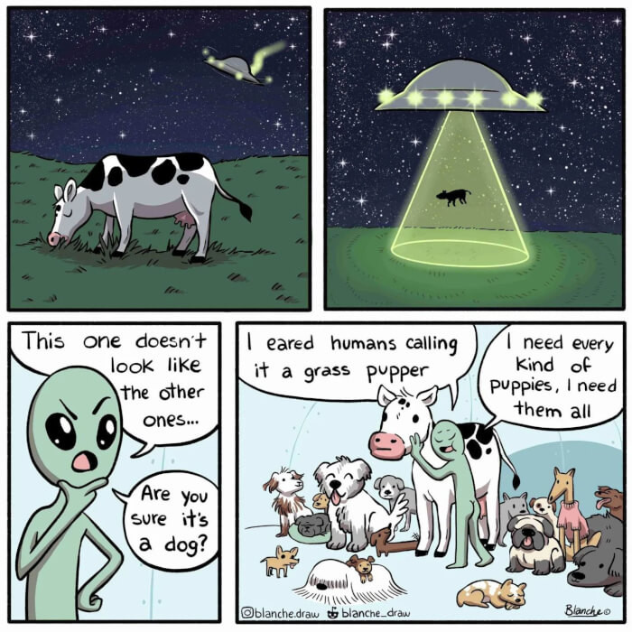 23. Baby Sharks Are Called Puppies