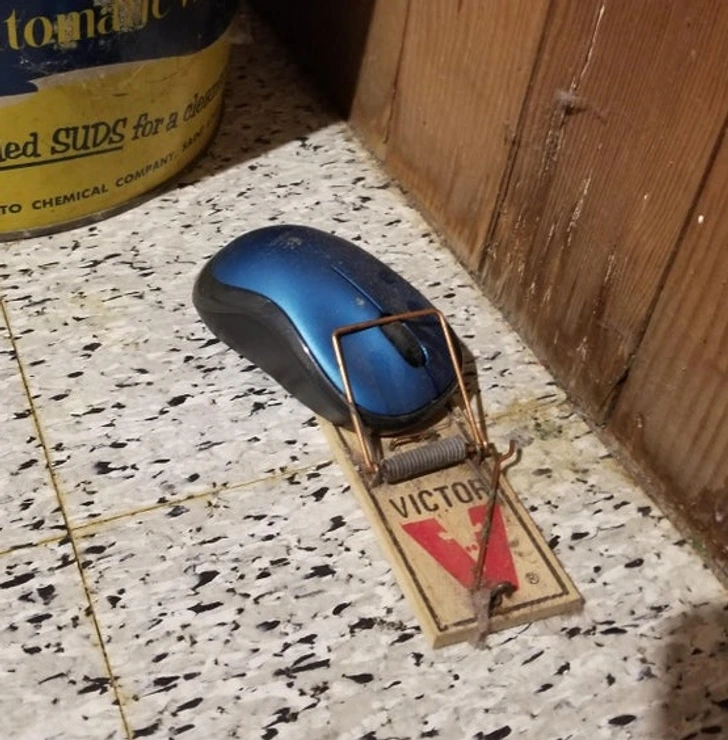 16. “I think my wife was trying to be clever.”