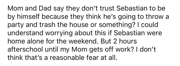 But the OP doesn't think it's reasonable for them to be so concerned about Sebastian spending a couple of hours each day alone.