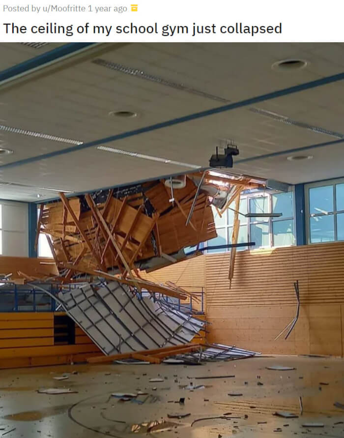 15. Those Frisbees Are a Real Pain!