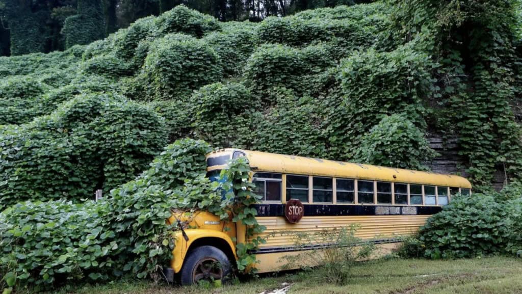 7. “A school bus on the Kudzu Route.”