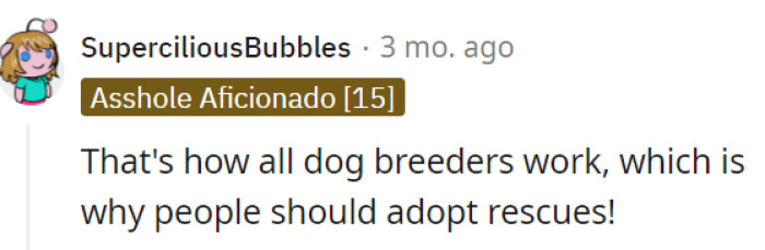 Always choose to adopt rescues if possible!