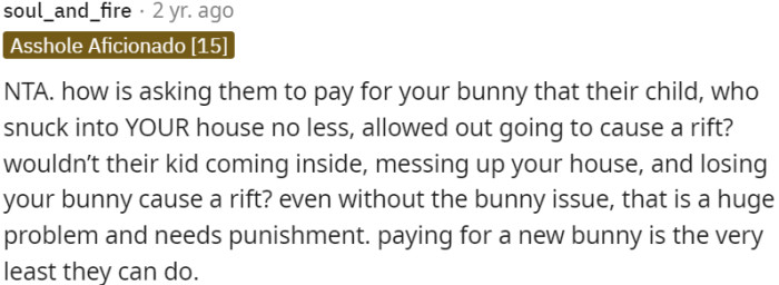 Child's intrusion, house disruption, and lost bunny demand accountability and restitution.