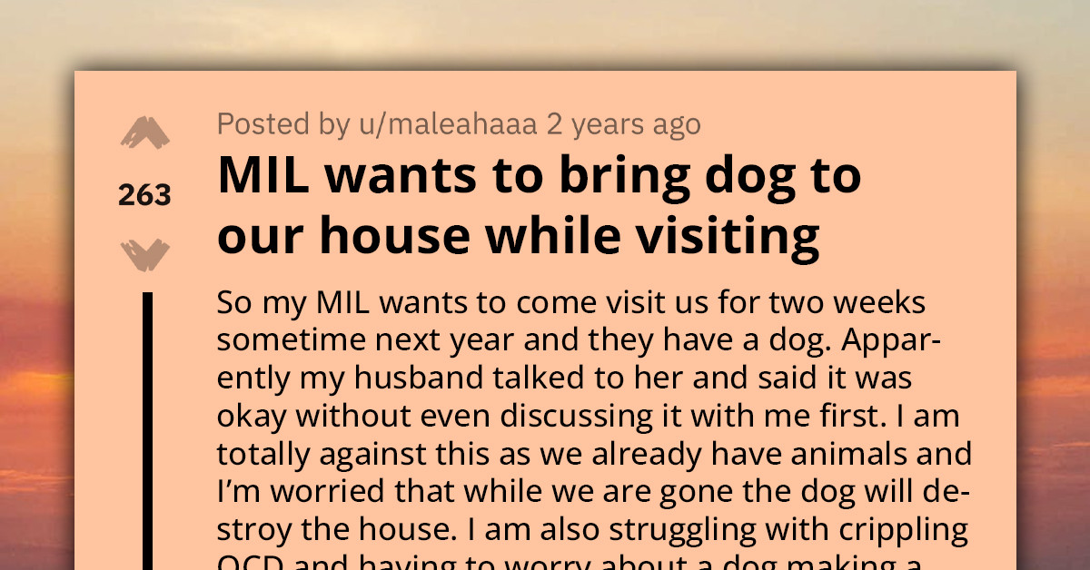 Redditor's OCD Clashes With Husband's Unilateral Decision On Mother-In-Law's Visit With Dog