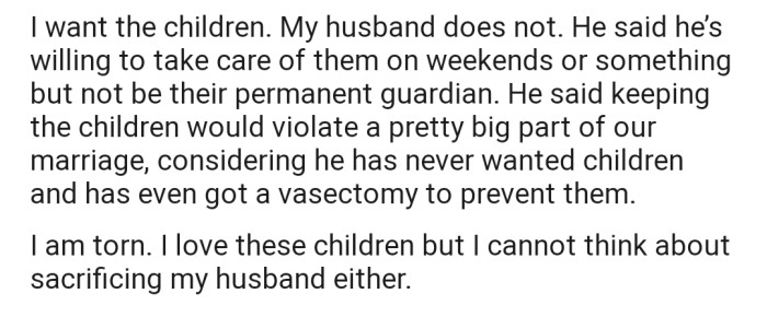 OP Is Now Torn Between Committing to the Kids or Violating Her Partner's Wishes, Especially Because They Agreed That Their Marriage Would Be Childfree.