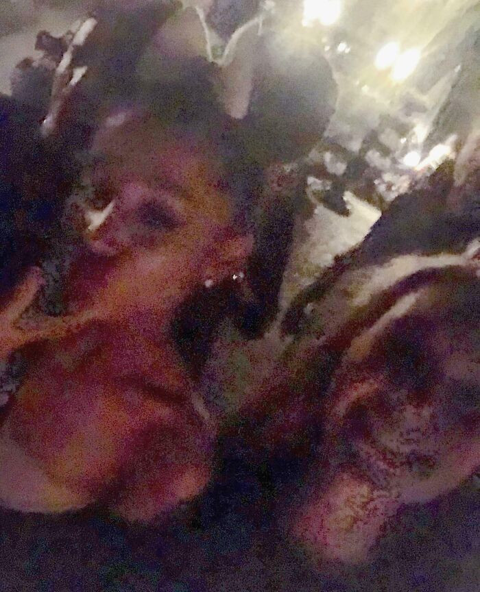 "I Met Ariana Grande At Disneyland In 2018. Got A Picture, But Forgot To Turn The Flash On. This Is The Pic Already Brightened"