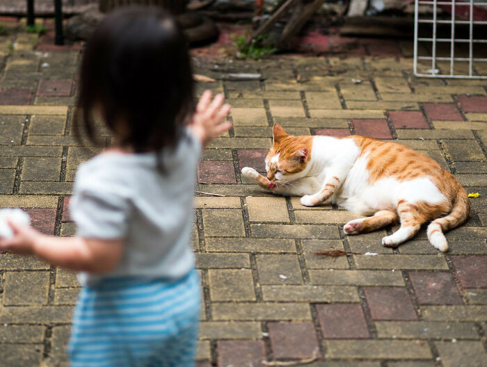 17. Ignoring them so they won't bother you.