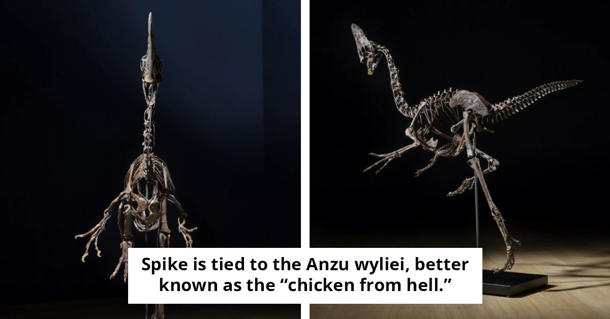 Rare Dinosaur Up for Sale at $4 Million - Don't Miss Out!