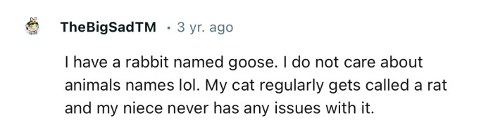 “I have a rabbit named Goose. I do not care about animal names lol.”