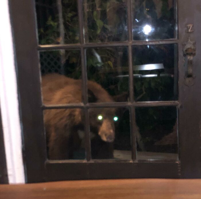 Was Playing Video Games When I Heard A Sound To My Left. Looked Over And Saw This